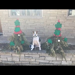 Meet your Posher, Dan